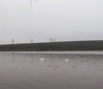 Greaca Cercani 1 ianuarie 2019